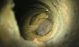 Bé trai Sujith Wilson kẹt dưới giếng sâu 26m. Ảnh: India Today