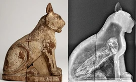 Vén màn bí ẩn bên trong xác ướp động vật Ai Cập cổ đại