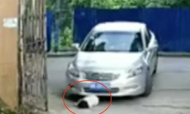 Bé 3 tuổi bị xe hơi cán hai lần vẫn đứng vững như không có chuyện gì