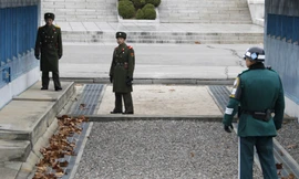 Khu phi quân sự nằm giữa hai miền Triều Tiên. Ảnh: Reuters