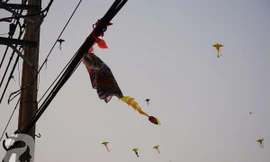 Gỡ diều trên dây điện, cô giáo mầm non chết thương tâm