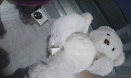 Chíp điện tử Trung Quốc bên trong thú nhồi bông 