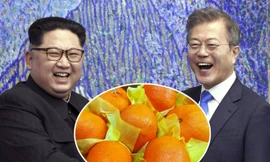 Được tặng 2 tấn nấm, Hàn Quốc ‘đáp lễ’ Triều Tiên bằng 200 tấn quýt