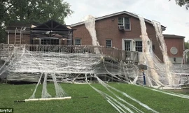 Quấn gần 100km băng dính quanh nhà khi bố mẹ đi du lịch