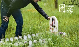 Choáng váng với mức giá nửa tỷ của ngôi mộ... thú cưng