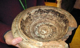 Chiếc bát cổ mà ông Ray Taylor dùng để tắm cho chim suốt một thập kỉ.