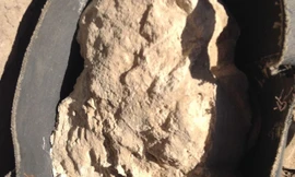 Hũ phô mai cổ nhất thế giới chứa vi khuẩn gây chết người. Ảnh: Catania University.