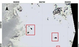 Mảnh vỡ máy bay được phát hiện trên sườn núi phủ đầy tuyết. Ảnh: Twitter