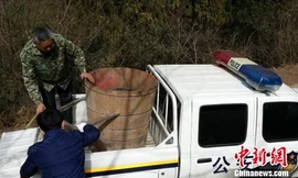 Cảnh sát thu giữ chiếc thùng gỗ được sử dụng trước đó trong nghi lễ tâm linh kì quái.