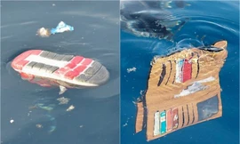 Rơi máy bay Indonesia: Ám ảnh cảnh tư trang hành khách nổi trên biển
