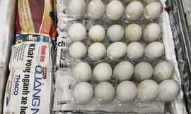 Số trứng vịt lộn của bà Le Thi Ung bị phát hiện tại sân bay Changi. Ảnh: AVA