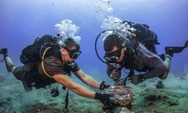 Khôi phục xong toàn bộ tuyến cáp quang biển AAG 