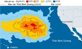 Đảo rác Thái Bình Dương có diện tích 1,6 triệu km2. Ảnh: Scientific Reports.