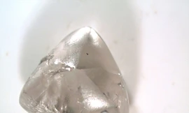 Hai bố con tìm thấy kim cương thô trong công viên