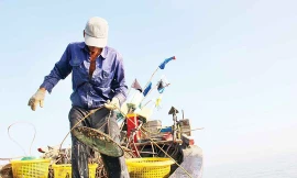 Ngư dân khoe "chiến tích" đầy ốc