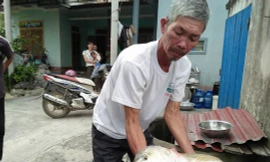 Ông Quy bên con cá lạ, nghi cá sủ vàng