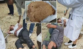 Hai nạn nhân nằm lăn lộn dưới đất sau khi đụng trúng tổ ong bắp cày khủng. 