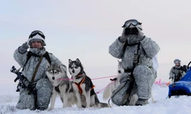 Ảnh minh hoạ: Lev Fedossev