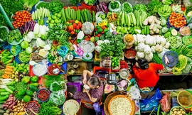 Nhiều tác phẩm độc đáo, ấn tượng tại Festival Nhiếp ảnh trẻ