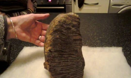 Chiếc răng voi ma mút được ông bà Booth tìm thấy trên bờ biển Walton.