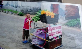 Bị bỏ rơi từ nhỏ, bé gái 8 tuổi đi bán rau để tìm cha mẹ