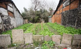 Dân làng dùng bia mộ trăm tuổi để... xây nhà