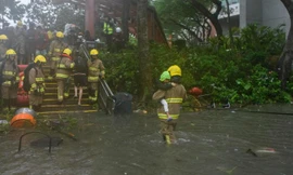 Bão Mangkhut khiến gần 70 người thiệt mạng