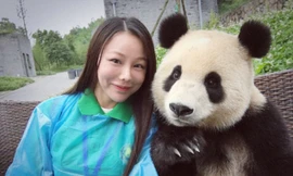 Gấu trúc gây ‘sốt’ vì biết tạo dáng selfie