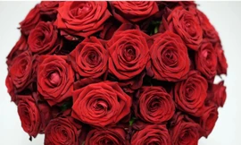 Bó hoa Valentine 999 bông hồng có giá bằng chiếc Audi A3