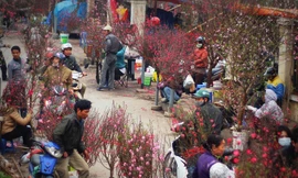 [ẢNH] Tết đến rất gần trên những phố hoa Thủ đô