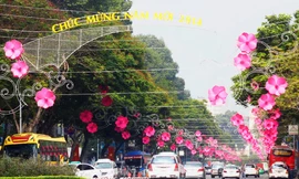 Tết Dương lịch: Miền Bắc trời rét, miền Nam nắng đẹp