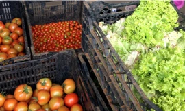 Giá cà chua và xà lách đều tăng vọt