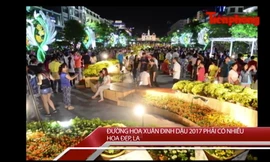 Tin nóng 24H: 'Đường hoa xuân Đinh Dậu phải có nhiều hoa đẹp, lạ'