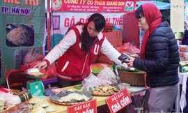 Người Hà Nội đội mưa rét đi chợ ở… bảo tàng