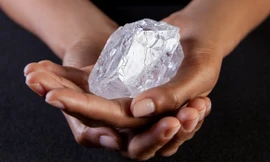 Tận thấy viên kim cương khủng giá 1.650 tỉ đồng