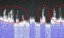 Camera nhiệt phát hiện người trốn trên xe container trong một vụ nhập cư trái phép. Ảnh: Daily Mail