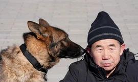 Tết không nghỉ của đội chó tuần tra ở Tử Cấm Thành