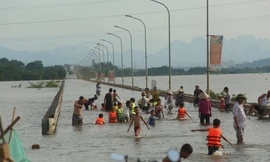 Tỉnh lộ ngập sâu, dân thôn ở Hà Nội nô nức đi bắt cá, cho trẻ ra bơi