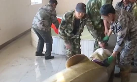 Bắt được cá tầm gần 100 tuổi, dài 3m nặng nửa tấn