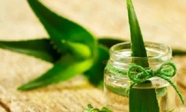 Ảnh minh họa: Internet