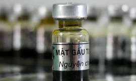 Ảnh minh họa: Internet