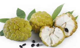 Ảnh minh họa: Internet