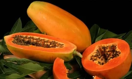 Ảnh minh họa: Internet