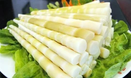 Ảnh minh họa: Internet