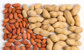 Ảnh minh hoạ: Internet