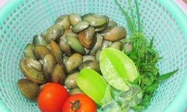 Ảnh minh họa: Internet