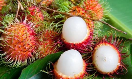 Ảnh minh hoạ: Internet