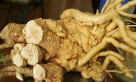 Ảnh minh hoạ: Internet