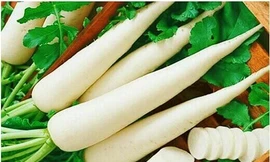 Ảnh minh họa: Internet