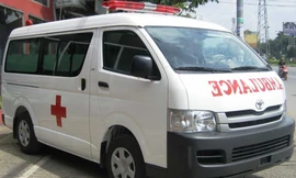 Ảnh minh hoạ: Internet